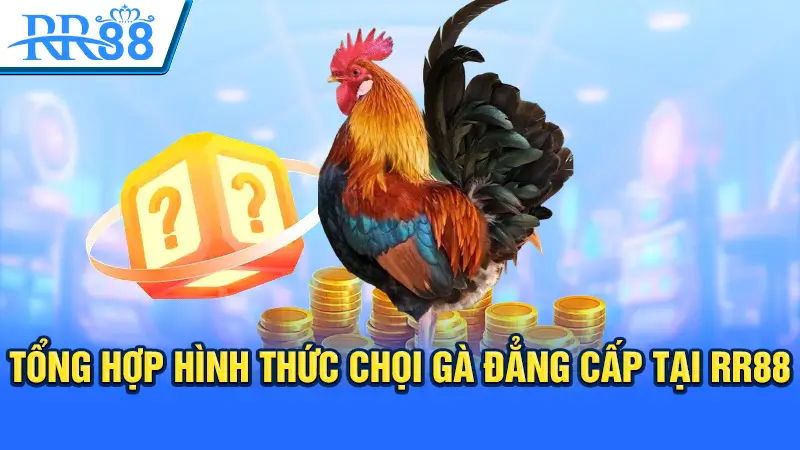 Top 2 Sảnh Đá Gà Được Sư Kê Yêu Thích Nhất Tại RR88